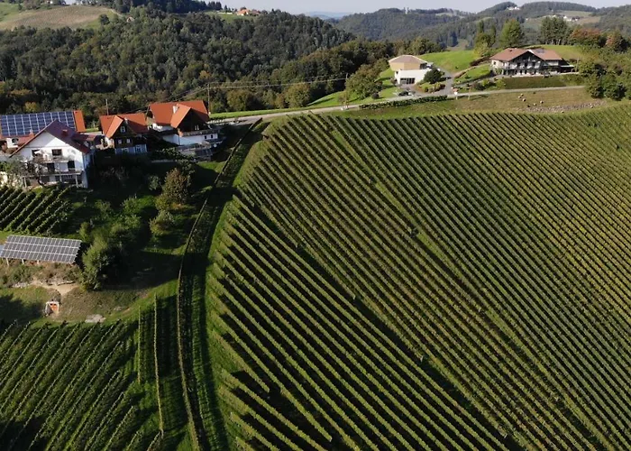 Appartement Traumaussicht Leutschach